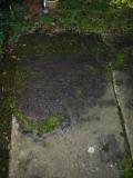 image of grave number 1850